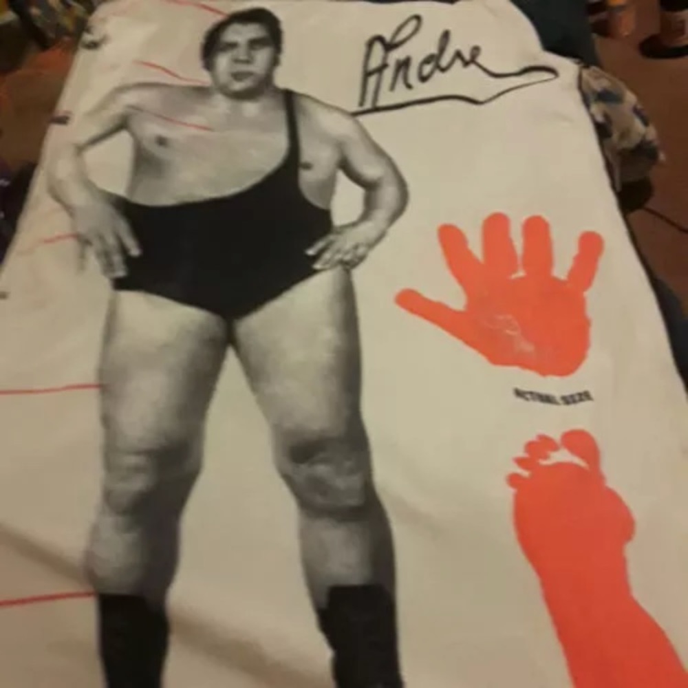 Wwe Slamcrate June 2018 Blanket Andre and poster